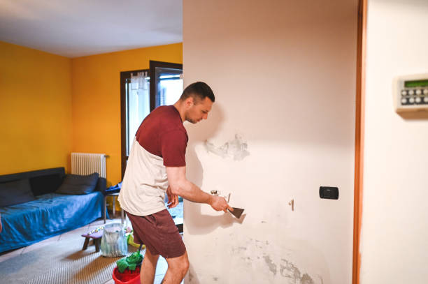 Best HVAC Mold Remediation in South Beloit, IL